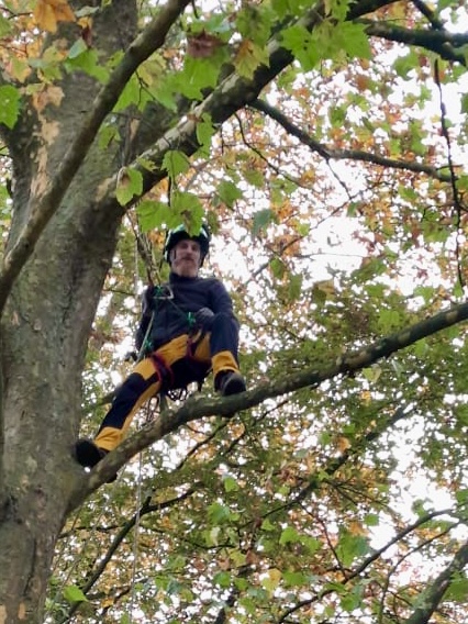 Boomverzorging en groenbeheer